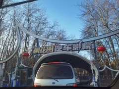 -枫花园汽车电影院(朝阳公园店)