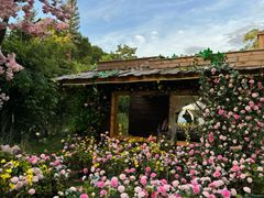 -HERRE·FARM 赫尔露营农场·团建聚会包场