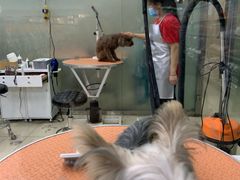 -乐宠宠物店(世纪金源店)