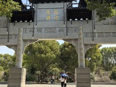-南汇桃花村