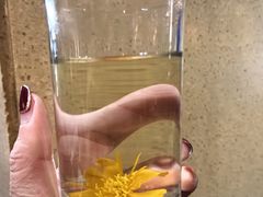 -一盏明灯全素斋(殊像寺店)