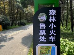 -日照海滨国家森林公园
