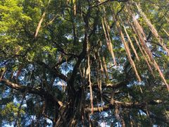 -火车头法国西餐厅