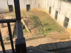 -武汉紫薇都市田园