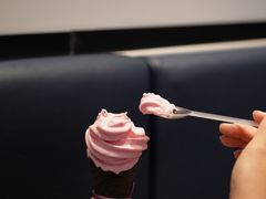 -喜茶(迪士尼小镇DP店)