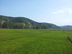 -南泥湾风景区