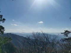 -王顺山国家森林公园