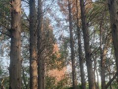 -同里国家湿地公园