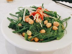 清炒南瓜尖儿-巴依老爷新疆美食(工体旗舰店)
