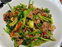 香菜炒牛肉-壹盏灯(惠农店)
