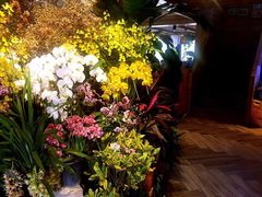 -春暖花开(西溪店)