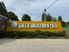 -渌洋湖湿地公园