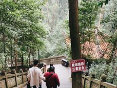 -都江堰普照寺