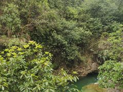 -南海湾森林生态园