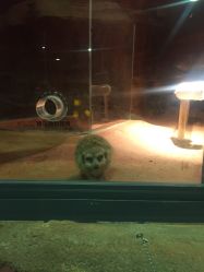 -酷嗒动物文化乐园(cutezoo西溪乐天城店)