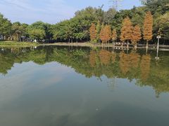 -顺峰山公园