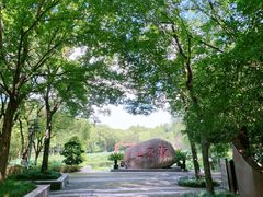 -陈家山荷花公园
