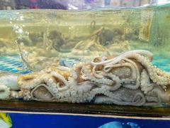 -87号烧烤海鲜·大排档(金沙滩店)
