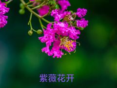 -杭州城北体育公园