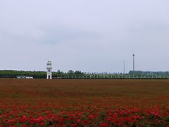 -南京枫彩漫城