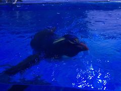 -华夏文旅西安度假区