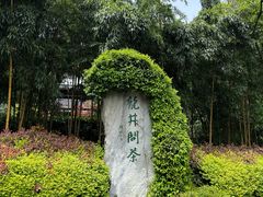 -十八棵（老龙井）御茶园(老龙井店)