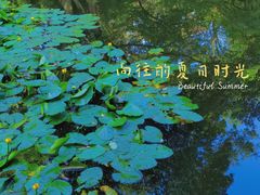 -杭州动物园