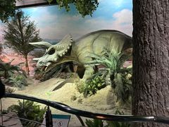 -国家自然博物馆