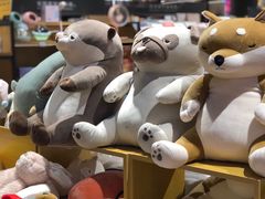 -九木杂物社(中心店)