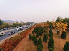 -东升八家郊野公园