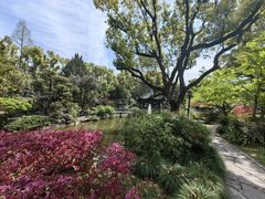 -申粤轩酒楼·三十年粤菜经典(丁香花园店)