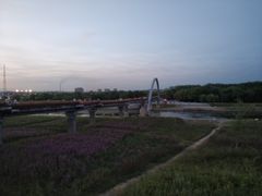 -黑龙江公园
