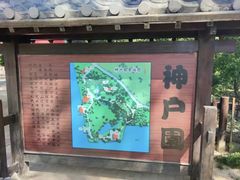 -天津水上公园