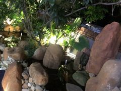 -海市蜃楼花园主题餐厅(石顶店)