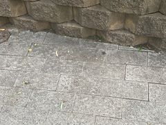 -文瀛公园