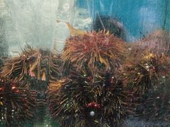 -海味当家·蒸锅海鲜(星海公园店)