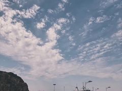 -枸杞岛