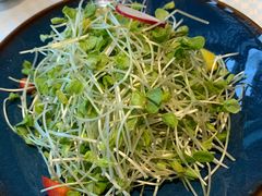 荞麦叶色拉-望乡楼上海菜(日月光店)