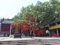 iphone_upload_pic-国恩寺