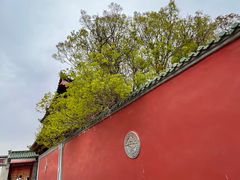 -塔尔寺游客服务中心