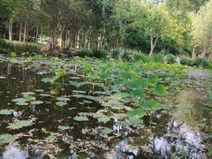-郑州植物园