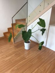 -韵绮产后修复中心(青浦宝龙广场店)