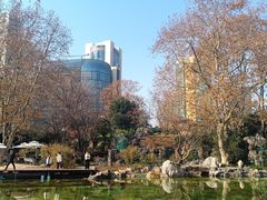 -静安公园(静安寺街道)