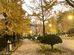 -浙江农林大学(东湖校区)