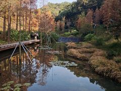 -云溪植物园