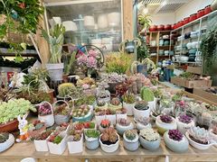 -双季花艺园艺市场(浦东店)