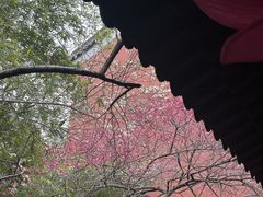 -钱王祠