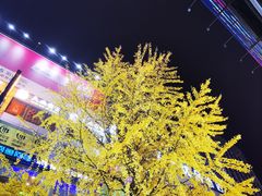 -黄兴南路步行商业街