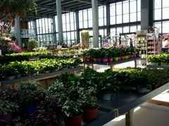 -南通洲际绿博园