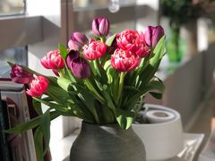 -至尚形象·化妆服饰搭配礼仪培训